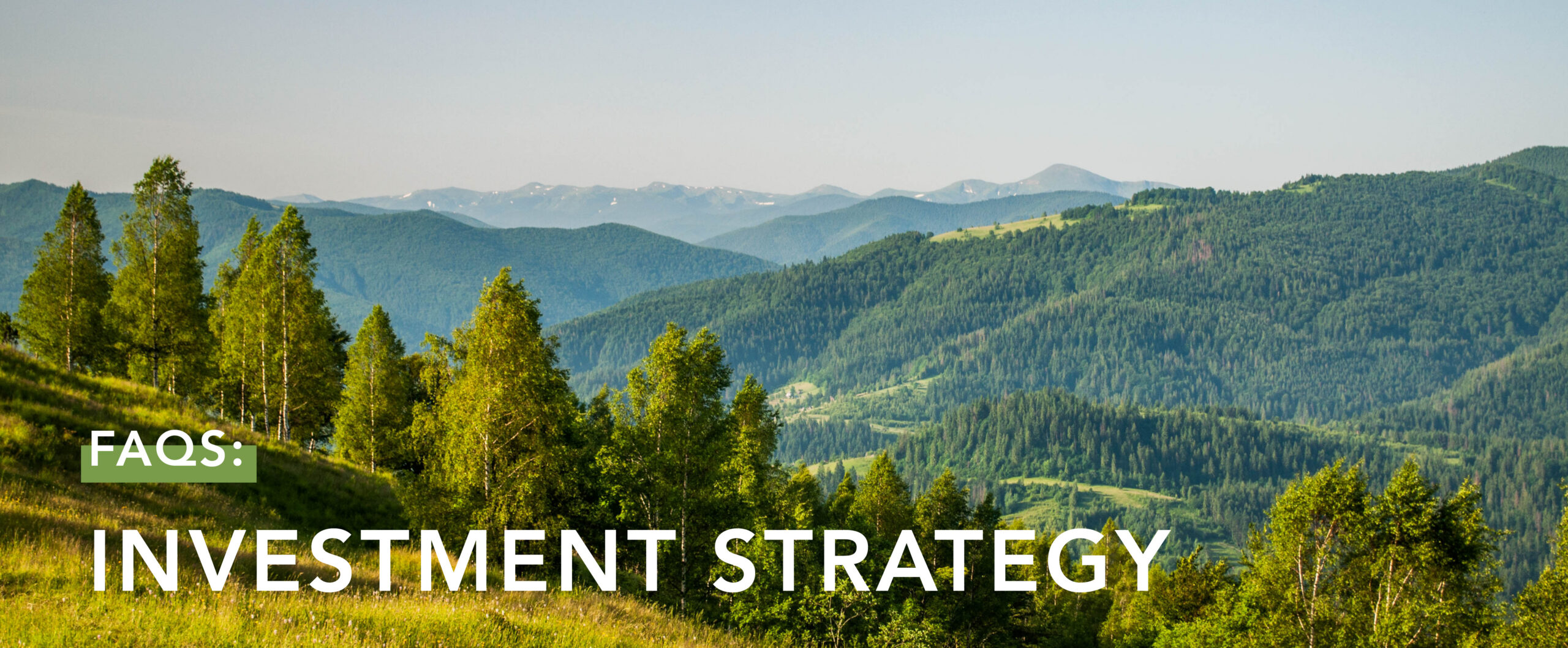 FAQS: Investment Strategy