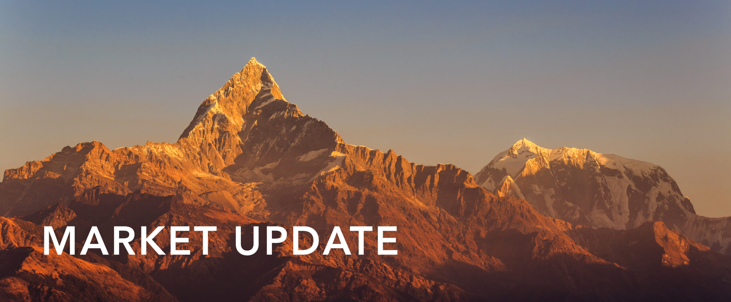 Market Update